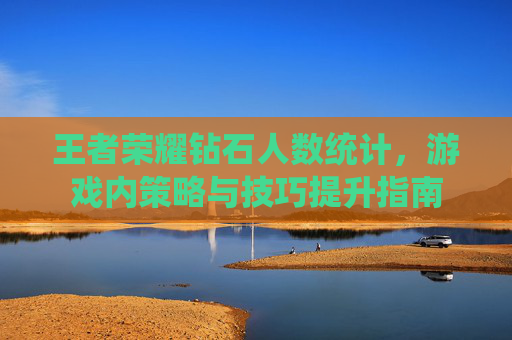 王者荣耀钻石人数统计，游戏内策略与技巧提升指南