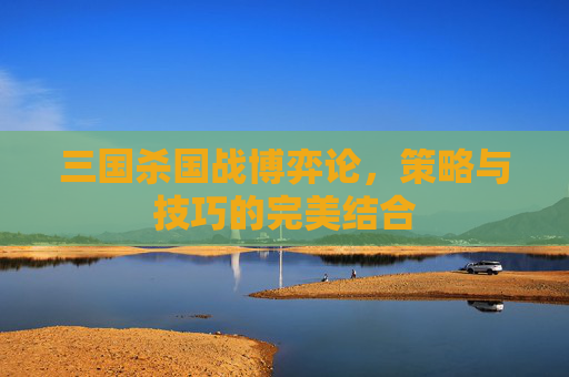 三国杀国战博弈论，策略与技巧的完美结合