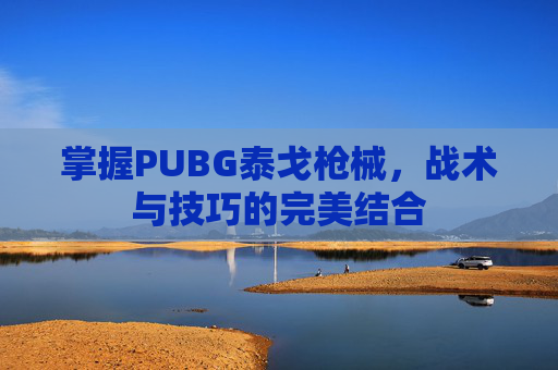 掌握PUBG泰戈枪械，战术与技巧的完美结合