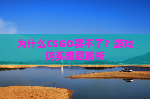 为什么CSGO买不了？游戏购买难题解析