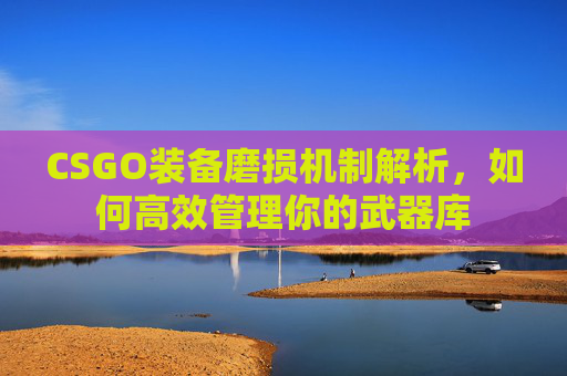 CSGO装备磨损机制解析，如何高效管理你的武器库