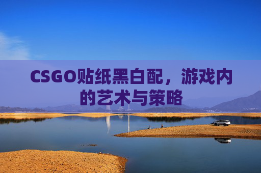 CSGO贴纸黑白配，游戏内的艺术与策略
