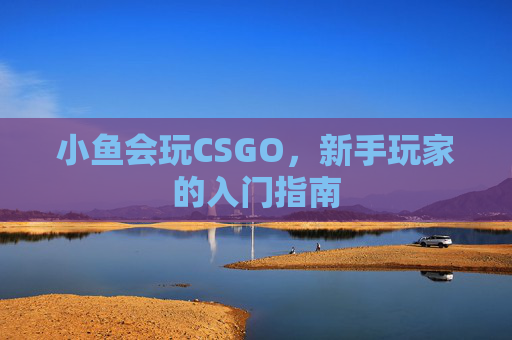 小鱼会玩CSGO，新手玩家的入门指南