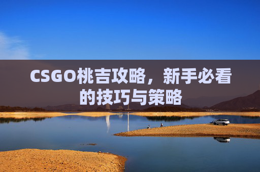 CSGO桃吉攻略，新手必看的技巧与策略
