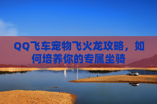 QQ飞车宠物飞火龙攻略,如何培养你的专属坐骑 QQ飞车宠物飞火龙攻略,如何培养你的专属坐骑