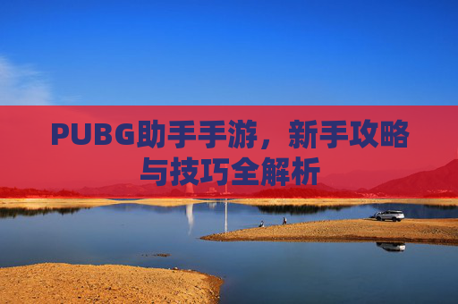 PUBG助手手游，新手攻略与技巧全解析