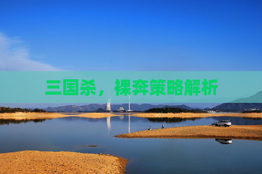 三国杀，裸奔策略解析