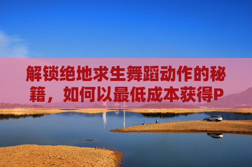 解锁绝地求生舞蹈动作的秘籍，如何以最低成本获得PUBG舞蹈动作？
