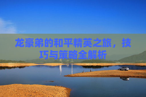龙豪弟的和平精英之旅，技巧与策略全解析