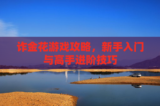 诈金花游戏攻略,新手入门与高手进阶技巧 诈金花游戏攻略,新手入门与高手进阶技巧