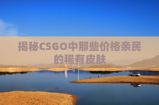 揭秘CSGO中那些价格亲民的稀有皮肤
