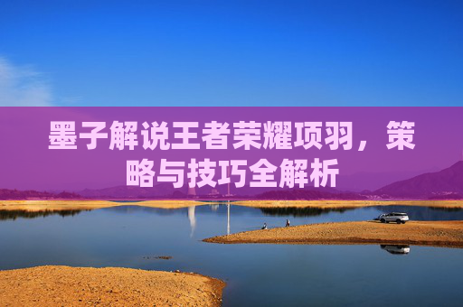 墨子解说王者荣耀项羽，策略与技巧全解析