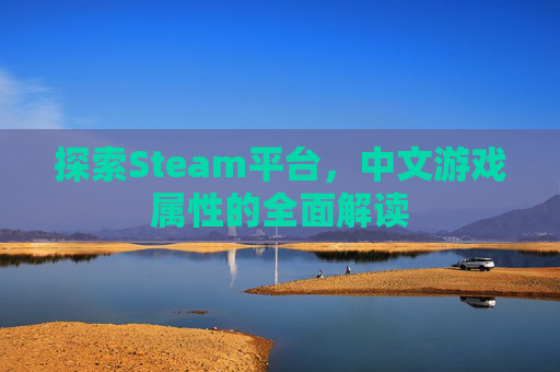 探索Steam平台，中文游戏属性的全面解读
