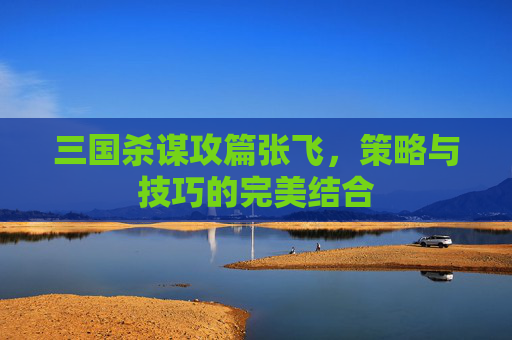 三国杀谋攻篇张飞，策略与技巧的完美结合