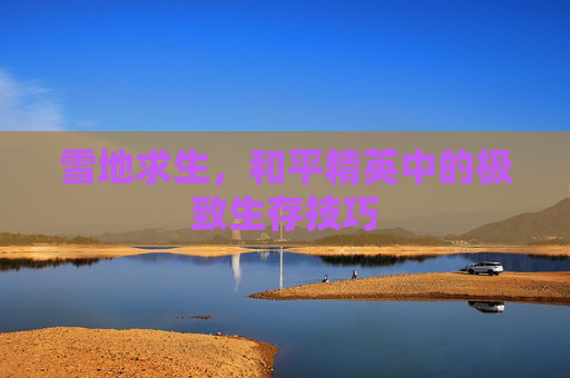 雪地求生，和平精英中的极致生存技巧