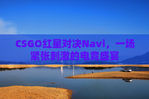CSGO红星对决Navi，一场紧张刺激的电竞盛宴