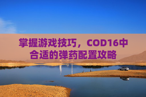 掌握游戏技巧，COD16中合适的弹药配置攻略