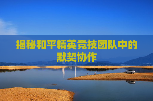 揭秘和平精英竞技团队中的默契协作