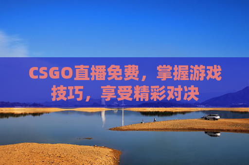 CSGO直播免费，掌握游戏技巧，享受精彩对决