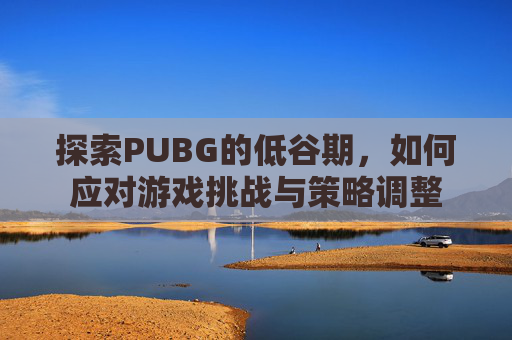 探索PUBG的低谷期，如何应对游戏挑战与策略调整
