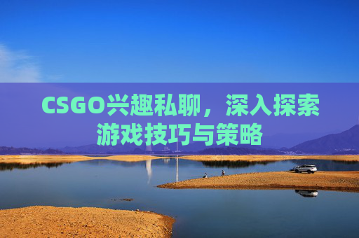 CSGO兴趣私聊，深入探索游戏技巧与策略