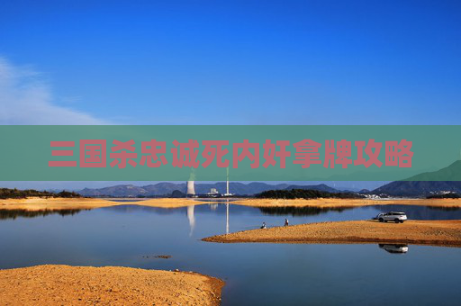 三国杀忠诚死内奸拿牌攻略