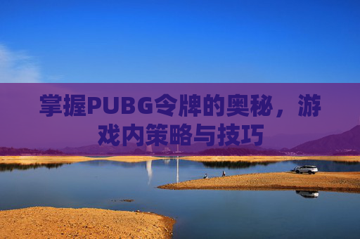 掌握PUBG令牌的奥秘，游戏内策略与技巧