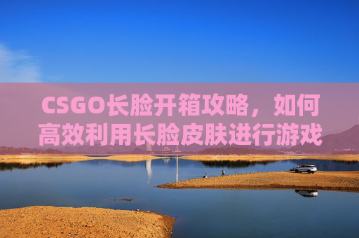 CSGO长脸开箱攻略，如何高效利用长脸皮肤进行游戏