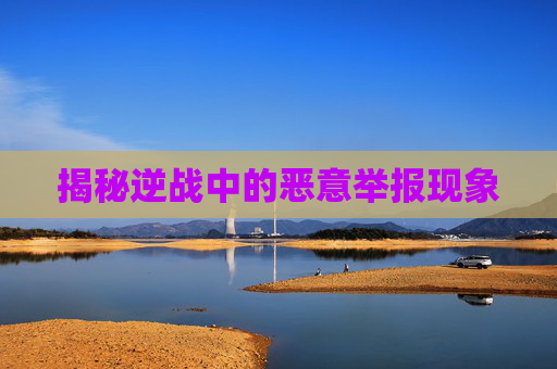 揭秘逆战中的恶意举报现象