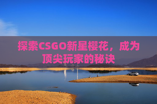 探索CSGO新星樱花，成为顶尖玩家的秘诀