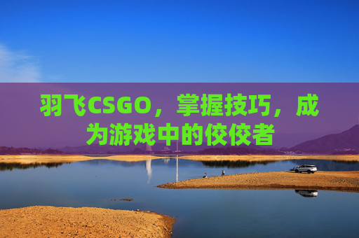 羽飞CSGO，掌握技巧，成为游戏中的佼佼者