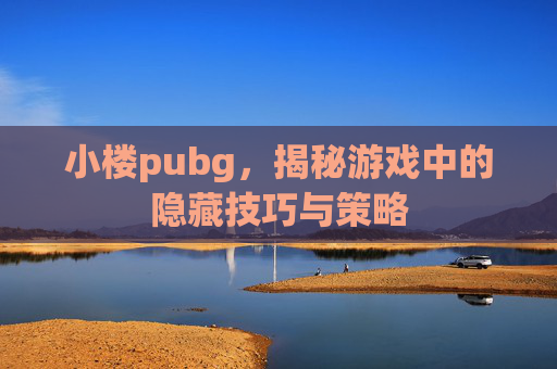 小楼pubg，揭秘游戏中的隐藏技巧与策略