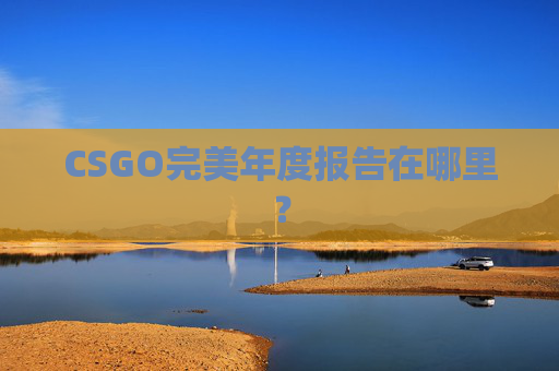 CSGO完美年度报告在哪里？