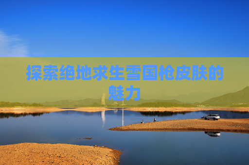 探索绝地求生雪国枪皮肤的魅力