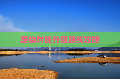 宠物对战升级路线攻略 宠物对战升级路线攻略