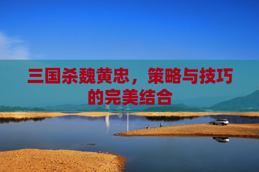 三国杀魏黄忠，策略与技巧的完美结合
