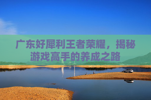 广东好犀利王者荣耀，揭秘游戏高手的养成之路