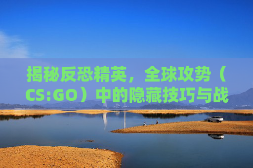 揭秘反恐精英，全球攻势（CS:GO）中的隐藏技巧与战术