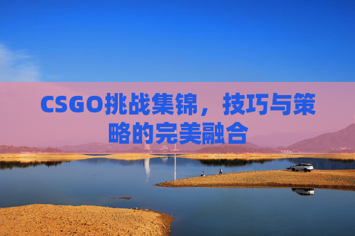 CSGO挑战集锦，技巧与策略的完美融合