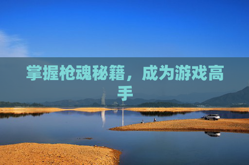 掌握枪魂秘籍，成为游戏高手