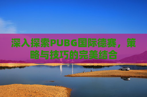 深入探索PUBG国际德赛，策略与技巧的完美结合