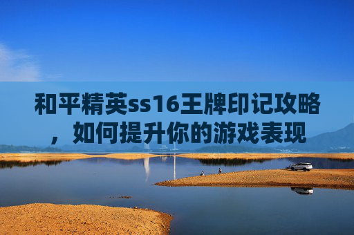 和平精英ss16王牌印记攻略，如何提升你的游戏表现