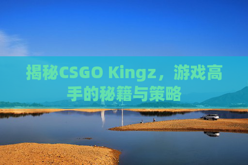 揭秘CSGO Kingz，游戏高手的秘籍与策略