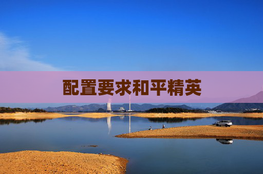 配置要求和平精英