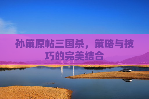 孙策原帖三国杀，策略与技巧的完美结合