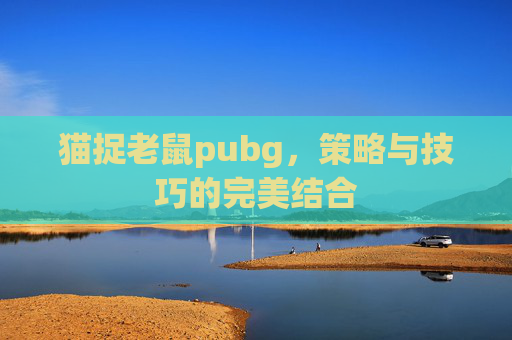 猫捉老鼠pubg，策略与技巧的完美结合