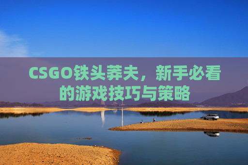 CSGO铁头莽夫，新手必看的游戏技巧与策略