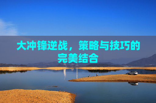 大冲锋逆战，策略与技巧的完美结合
