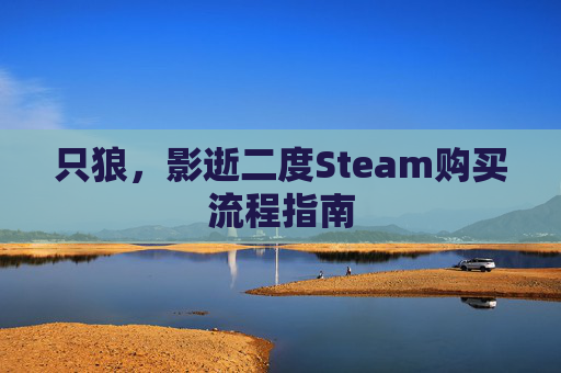 只狼，影逝二度Steam购买流程指南