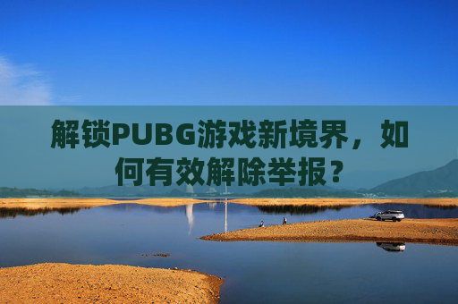 解锁PUBG游戏新境界，如何有效解除举报？